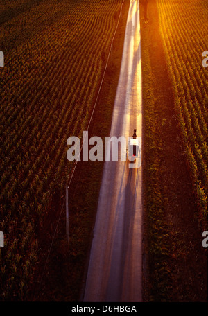 Luftaufnahme von Pferden gezogene Amish Buggy auf Landstraße bei Sonnenuntergang, Lancaster County, Pennsylvania, USA Stockfoto