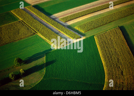 Luftaufnahme des üppigen Lancaster County, Pennsylvania, Ackerland, Heimat von den Amish, produktiven Bauern. Stockfoto