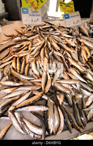 Sardinen auf Verkauf im Lebensmittelmarkt Stockfoto