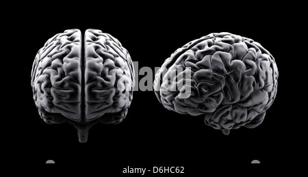 Menschliche Gehirn, artwork Stockfoto