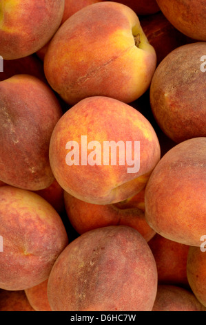 Frische Pfirsiche Stockfoto