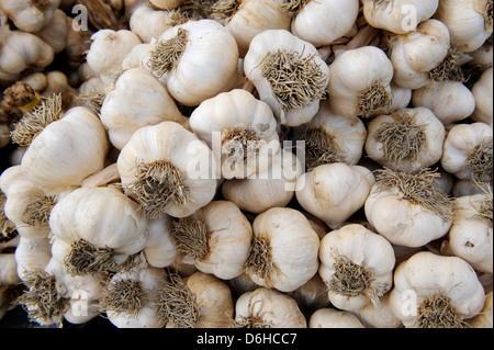 Knoblauch-Birne-Zeichenfolge auf einem Markt in Italien Stockfoto