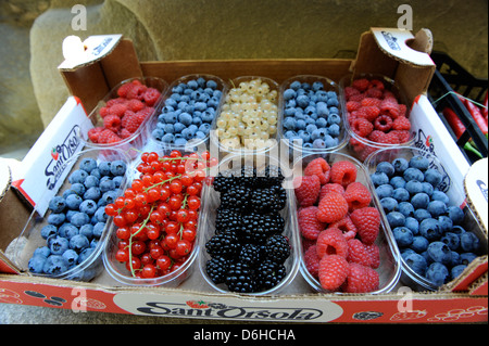 Frischen Sommerbeeren zum Verkauf in Italien Stockfoto