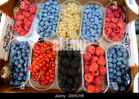 Frischen Sommerbeeren zum Verkauf in Italien Stockfoto