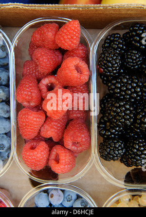 Frischen Sommerbeeren zum Verkauf in Italien Stockfoto