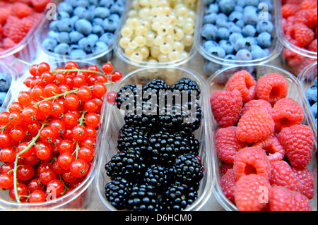 Frischen Sommerbeeren zum Verkauf in Italien Stockfoto