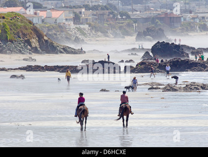 Zwei Reiter am Strand Stockfoto