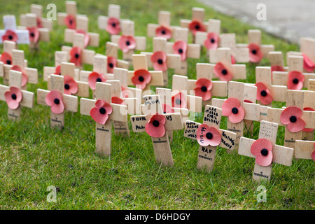 einfache Holzkreuz Gras mit Mohnblumen auf meinem Gedächtnis Stockfoto