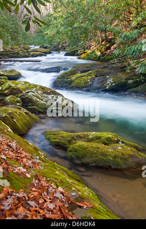 Tallulah River in North Georgia Stockfoto