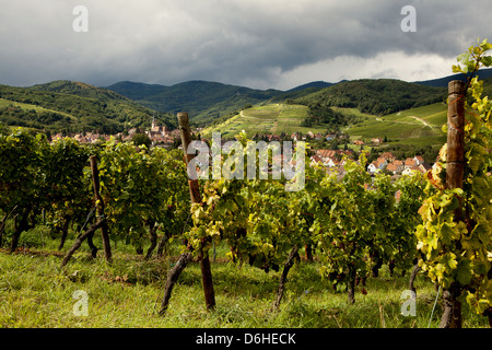 Dorf von Andlau im Elsass Frankreich mit Vordergrund Weinberge Stockfoto