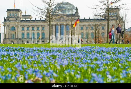 Blumen blühen auf einer Wiese vor dem Reichstagsgebäude in Berlin, Deutschland, 18. April 2013. Foto: Ole Spata Stockfoto