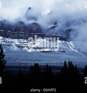 Winter Schnee am Schlossberg, Alberta, Kanada Stockfoto
