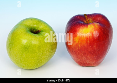 Ein roter und ein grüner Apfel gegen einen blassen blauen Hintergrund. Stockfoto