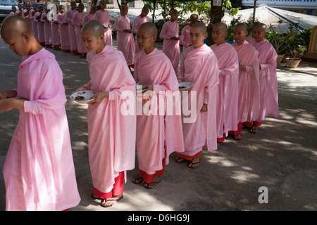 Nonnen, die Schlange für eine Mahlzeit, Sakyadhita-Thilashin-Kloster-Schule, Sagaing, in der Nähe von Mandalay, Myanmar (Burma) Stockfoto