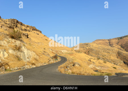 Eine gebogene schwarze leere Straße durch gelbe Hügel, bedeckt mit verdorrten Rasen Stockfoto