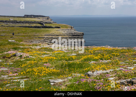 Inishmore Insel. Aran-Inseln. Irland. Kalkstein Klippen. Atlantische Küste. Alten Don Aengus Fort im Hintergrund. Stockfoto