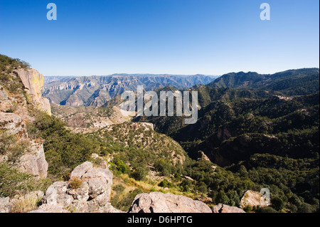 Barranca del Cobre, Copper Canyon, Chihuahua Zustand, Mexiko, Nordamerika Stockfoto