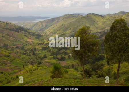 Sanfte Hügel und Dörfer prägen die Landschaft des Territoriums Masisi, Provinz Nord-Kivu im Osten der Dr Kongo. Stockfoto