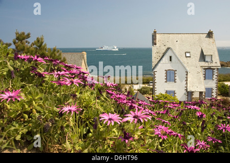 Bretagne Roscoff Fähre am Terminal Stockfoto