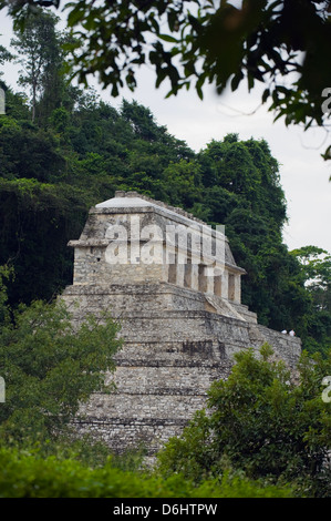 Palenque Maya-Ruinen, Bundesstaat Chiapas, Mexiko, Nordamerika Stockfoto