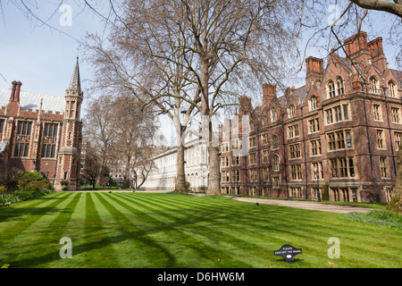 Gesellschaft von Lincolns Inn Fields London UK Stockfoto