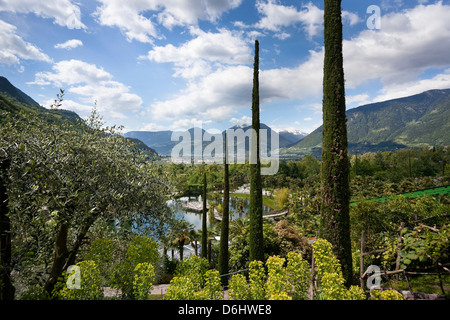 Ostalpen, Südtirol, Italien. Die Gärten von Schloss Trauttmansdorff. Stockfoto