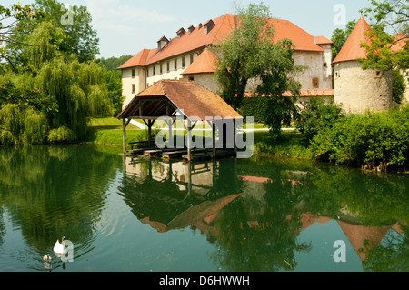 Otocec Castle in der Nähe von Novo Mesto, Slowenien Stockfoto