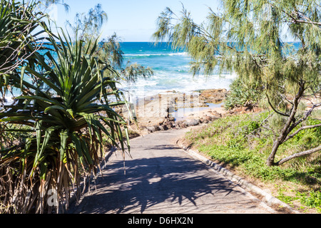 Weg hinunter Punkt Arkwright, Sunshine Coast, Queensland Australien Stockfoto