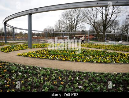 Frühling Blumen blühen unter dem Monorail-Zug auf dem Gelände des International Garden Festival 2013 in Hamburg, Deutschland, 17. April 2013. Die Gartenschau statt unter dem Motto "In 80 Gärten um die Welt" vom 26 April bis 13. Oktober 2013 stattfindet. Foto: Angelika Warmuth Stockfoto