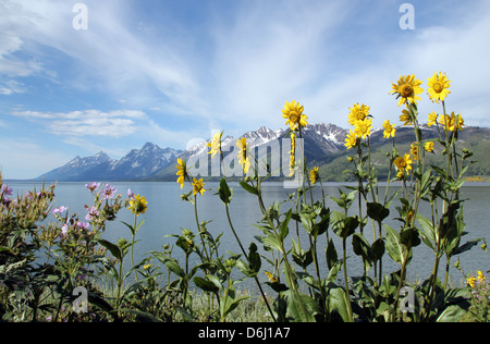 Jenny Lake und den Grand Teton massiv, Grand Teton National Park, USA Stockfoto