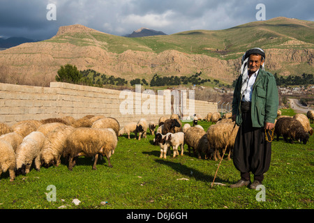 Schäfer mit seiner Herde von Schafen in Ahmedawa an der Grenze zwischen Iran, Kurdistan-Irak, Irak, Nahost Stockfoto