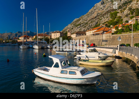 Marina Kotor, Kotor, Bucht von Kotor, Montenegro, Europa Stockfoto