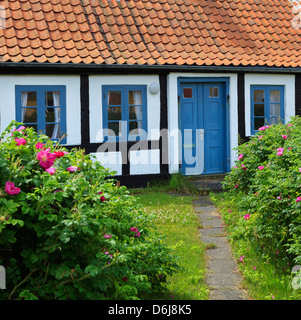 Traditionellen Fachwerkhaus, Gammel Skagen, Jütland, Dänemark, Skandinavien, Europa Stockfoto
