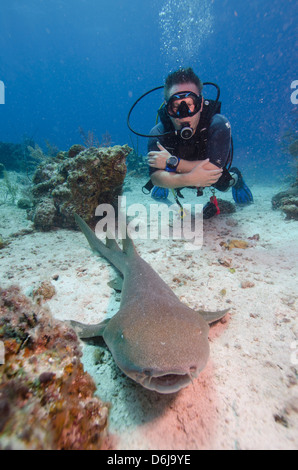 Hautnahe Begegnungen mit Ammenhai auf G-Spot-Riff, Türken und Caicos, West Indies, Karibik, Mittelamerika Stockfoto