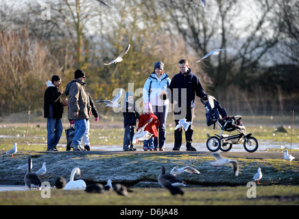 Besucher der Slimbridge Wildfowl und Feuchtgebiete Vertrauen, Gloucestershire UK Stockfoto