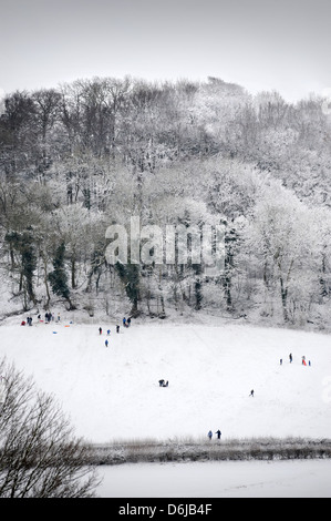 Kinder Rodeln auf einem Hügel in der Nähe von Wotton-unter-Kante, Gloucestershire UK Stockfoto