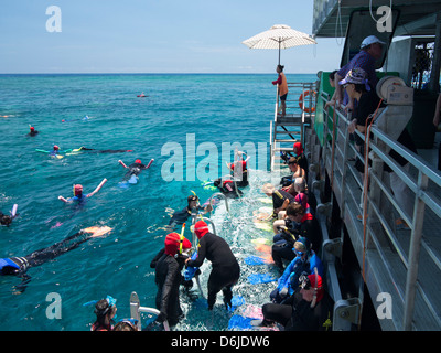 Leute Schnorcheln am äußeren Great Barrier Reef in der Nähe von Cairns, Nord-Queensland, Australien, Pazifik Stockfoto