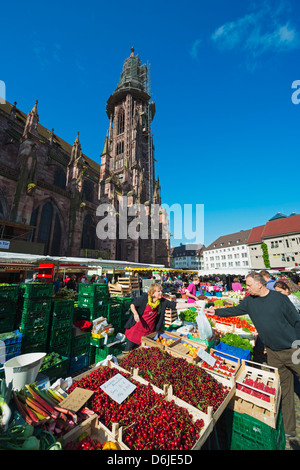 Samstag Markt, Freiburger Münster, Freiburg, Baden-Württemberg