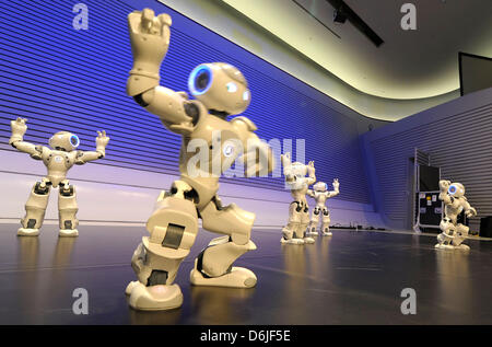 Roboter von der "NAO-Roboter-Show" Tanz im Phaeno Science Center in Wolfsburg, Deutschland, 16. März 2012. Eine Roboter-Festival statt findet am Phaeno mit Robotern von auf der ganzen Welt. Foto: DOMINIQUE LEPPIN Stockfoto