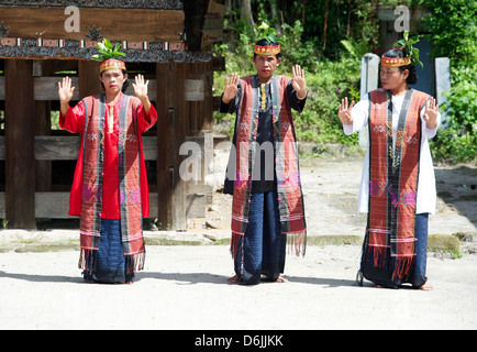 Drei Batak Stammesfrauen in tribal Kostüm Durchführung traditionellen Tanz, Huta Bolon, Simanindo, Sumatra, Indonesien Stockfoto