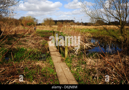 Ein Holzsteg über einen Deich auf die Wherryman Weise Langdistanz Spaziergang am Surlingham, Norfolk, England, Vereinigtes Königreich. Stockfoto