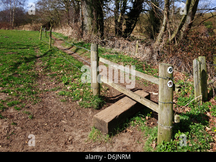 Ein Stil auf die Wherryman Weise lange Distanz gehen bei Surlingham, Norfolk, England, Vereinigtes Königreich. Stockfoto