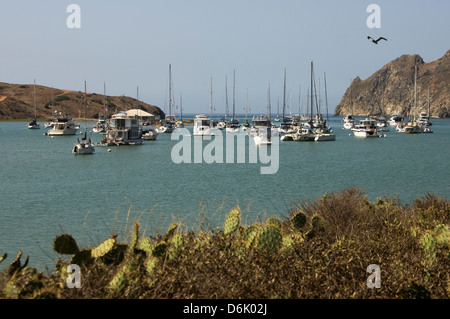 Yachten ankern in der ruhigen Bucht von Catalina Harbor auf Santa Catalina Island vor der Küste von Süd-Kalifornien Stockfoto