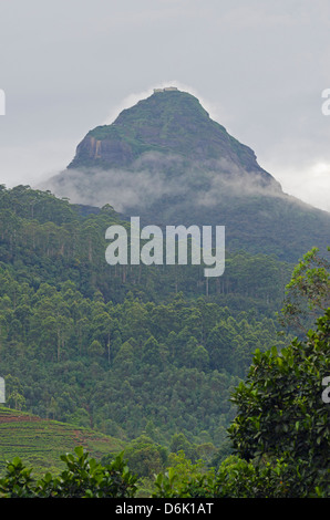 Adams Peak, Sri Lanka, Asien Stockfoto