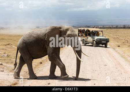 Afrikanischer Elefant (Loxodonta Africana) und Touristen, Amboseli Nationalpark, Kenia, Ostafrika, Afrika Stockfoto