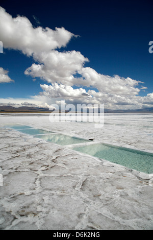 Salinas Grandes, Provinz Jujuy, Argentinien, Südamerika Stockfoto