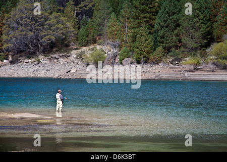 Fliegenfischen Sie am Limay River in den Lake District, Patagonien, Argentinien, Südamerika Stockfoto