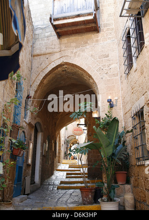 Gassen in der Altstadt von Jaffa, Tel Aviv, Israel, Naher Osten Stockfoto