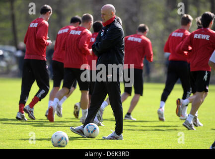 FC Köln Cheftrainer Stale Solbakken führt eine Trainingseinheit am Geissbockheim in Köln, Deutschland, 1. April 2012. Nach der Niederlage gegen Augsburg Fc Köln ist jetzt in der 16. Platz in der Tabelle. Foto: FEDERICO GAMBARINI Stockfoto