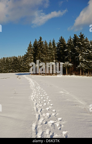 Schwarzwald im Winter, in der Nähe von Villingen Baden-Wurttemberg, Deutschland, Europa Stockfoto